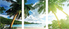 Palm Tree Wall Decal Self Adhesive Wall Mural of The Beach and Ocean, c64