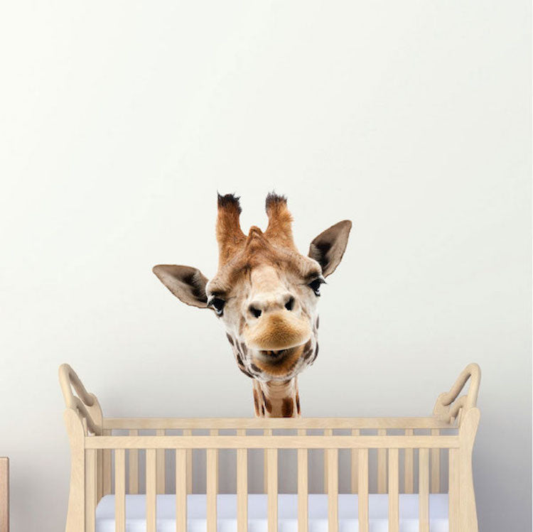 Giraffe Wall Sticker Animal Wall Decor Removable Safari Wall Decal Kids Bedroom Art, c01