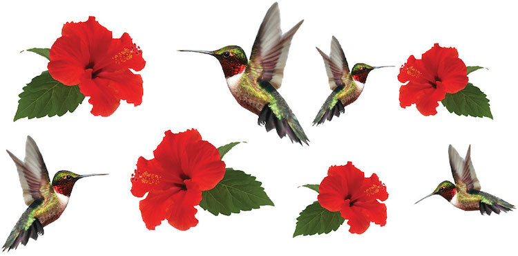 Hummingbird Wall Decal Animal Wall Decor Kids Apartment Bedroom Wallpaper Decal, a01