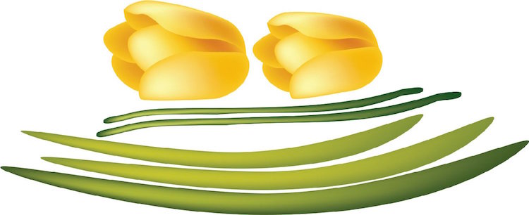Custom Large Tulip Flower Wall Decal Bedroom Flowers Wall Decal Office Wall Decal, c39